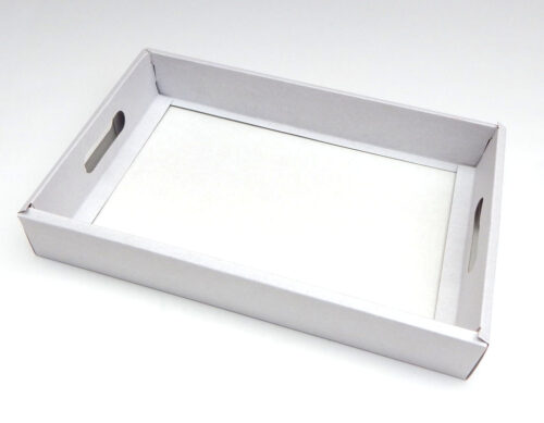 Bandeja cartón blanca 33x22x5